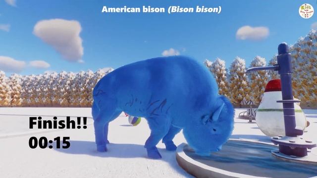 COLORED AMERICAN BISON SPEED RACES IN PLANET ZOO..// COLORFUL ANIMALS// ANIMALS RUNNING RACES смотреть онлайн