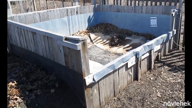 В чём содержать червя? Дендробена. Нужен ли мел в субстрате? смотреть онлайн