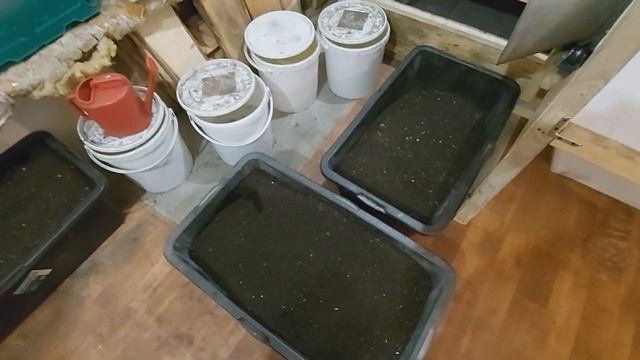 Просейка червя. Сепаратор. Отзыв. смотреть онлайн