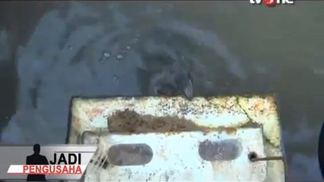 Ikan Sidat bagian 1 (Tahta Khatulistiwa) смотреть онлайн