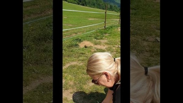 Sysľovisko Biele vody - Muránska planina. Kam na Slovensku.