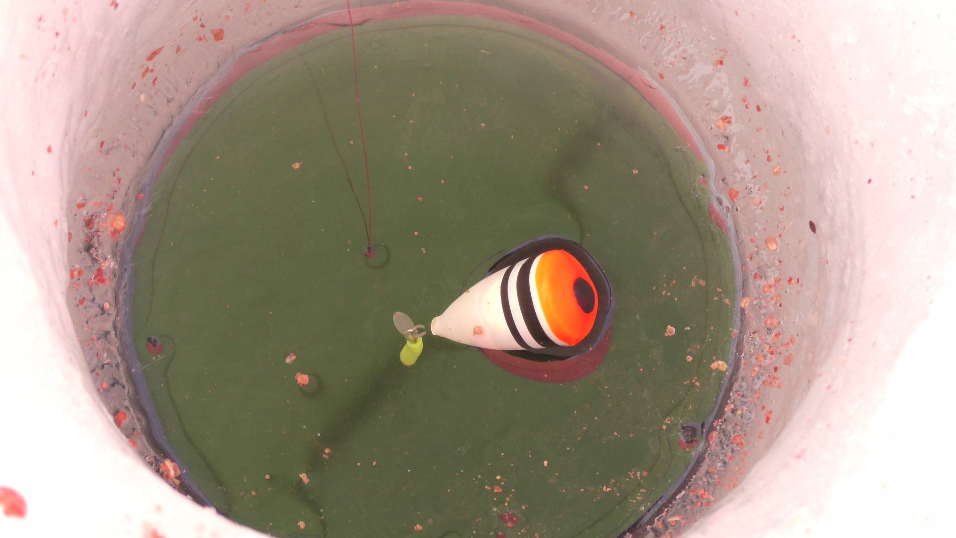 Рыжая растягивает леску и поднимает поплавки. Зимняя рыбалка смотреть онлайн