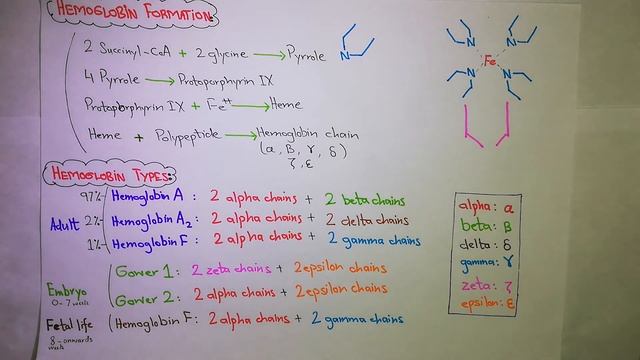 Hemoglobin Chapter 33 (part 7/9) Guyton and Hall text book of physiology. смотреть онлайн