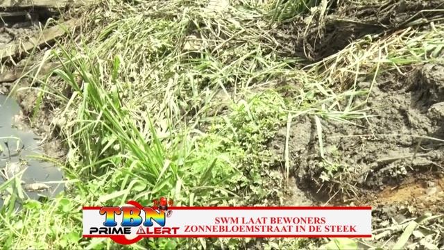 TBN PRIME ALERT 05 OKTOBER 2019 SWM LAAT BEWONERS ZONNEBLOEMSTRAAT IN DE STEEK смотреть онлайн