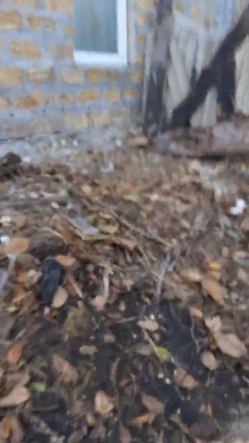 Вывоз строительного мусора и хлама смотреть онлайн