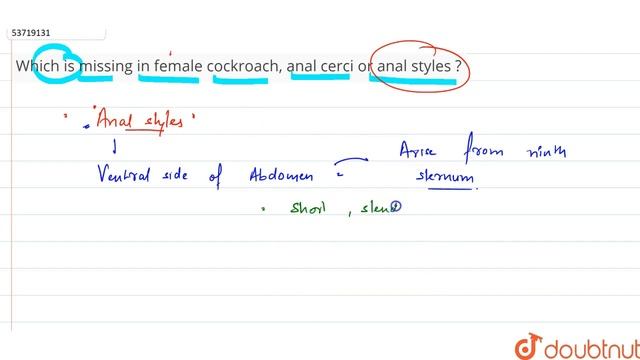 Which is missing in female cockroach, anal cerci or anal styles ? | 11 | STRUCTURAL ORGANIZATION... смотреть онлайн
