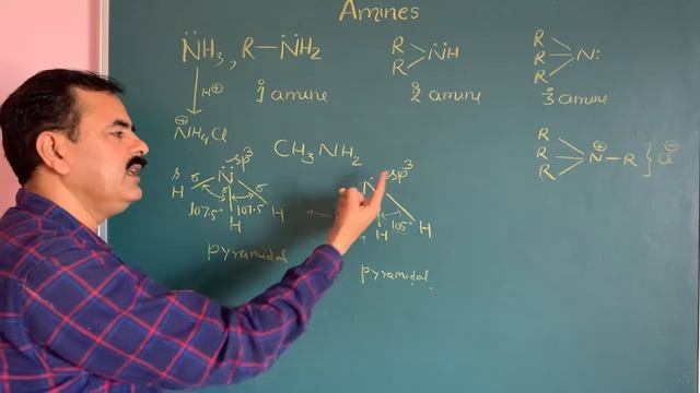 Amines||अमीन्स||Nomenclature&Bonding||Primary Secondary Tertiary amine||NEET||JEE||BSc||CUET||ICAR смотреть онлайн
