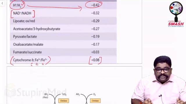 Electron Transport Chain Biological Oxidation Respiratory Chain Oxidative Phosphorylation 1 смотреть онлайн
