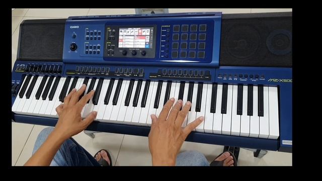 Review  Casio Mzx 500