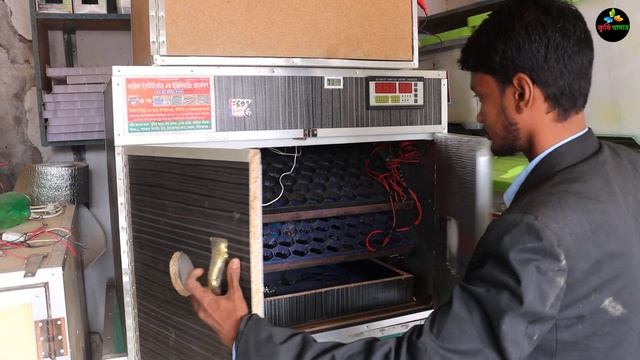 নতুন বছর উপলক্ষে ডিসকাউন্টে ডিম ফুটানোর ইনকিউবেটর কিনুন।Arifa incubator смотреть онлайн