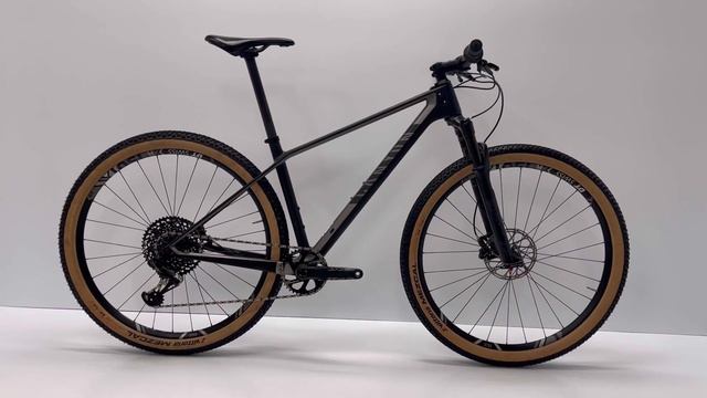 Canyon Exceed CF SL 8.0 29 inch mountainbike Refurbished gebruikte fiets | H&B Exclusive смотреть онлайн