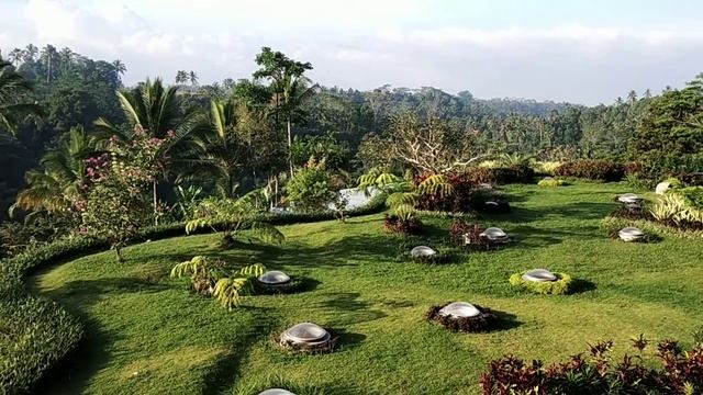 Padma Resort Ubud, View From Room