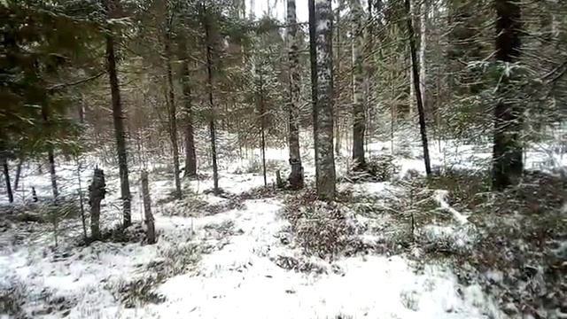 фрагмент работы рг Лапка2 Макаренко смотреть онлайн