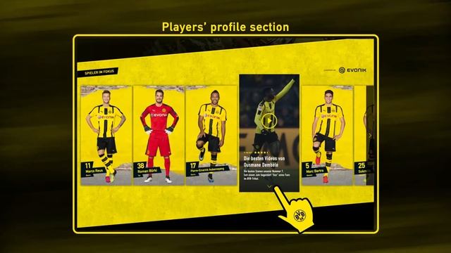 Андрей Самойлов SportRadar BVB total pitch смотреть онлайн