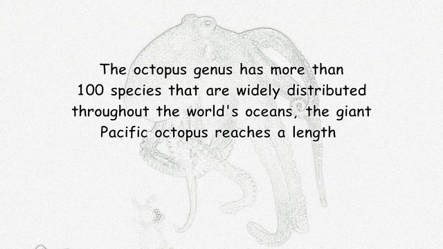 Octopus. Part 2. Species and sizes. смотреть онлайн