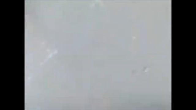 Вода рядом с клубом пчёл. смотреть онлайн