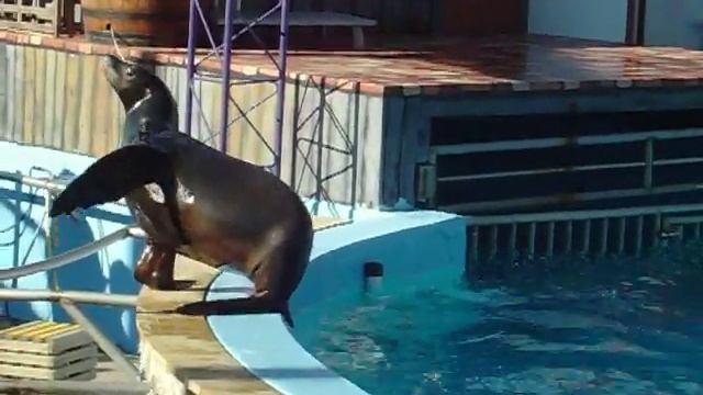 Hershey's Park 081 смотреть онлайн