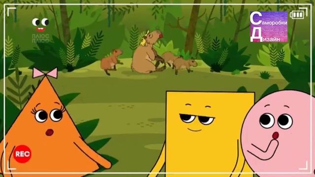 Волохатий блог. Дружити з капібарою. #длядетей