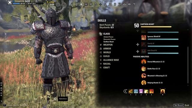 ESO - VBRP Tank Build (updated) смотреть онлайн