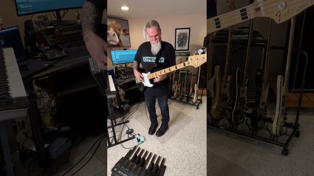Tech 21 Geddy Lee YYZ Shape-shifter Signature SansAmp with TRIPLE SCHMEGILKA! смотреть онлайн