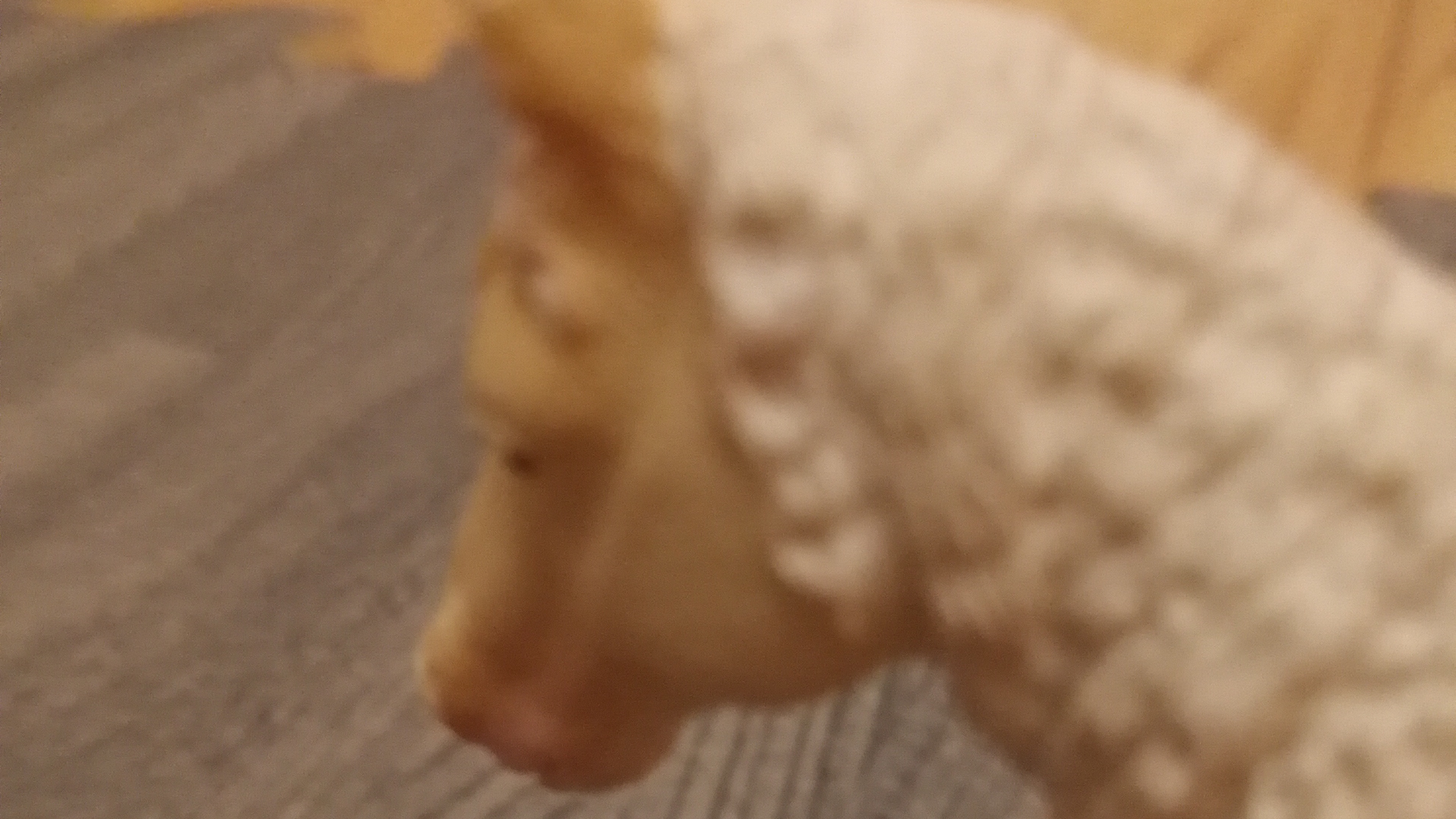 Сериал маньяк 1сезон 2серия