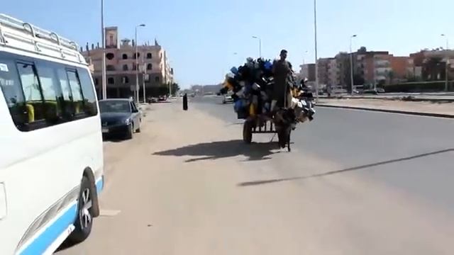 ОСЕЛ +9 смотреть онлайн