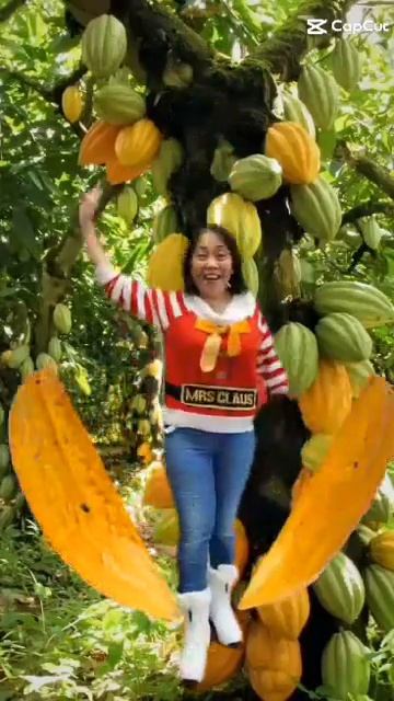 Cacao Source of chocolates #shorts смотреть онлайн