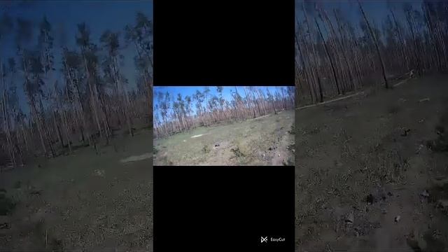 29 мая 2024 г. смотреть онлайн