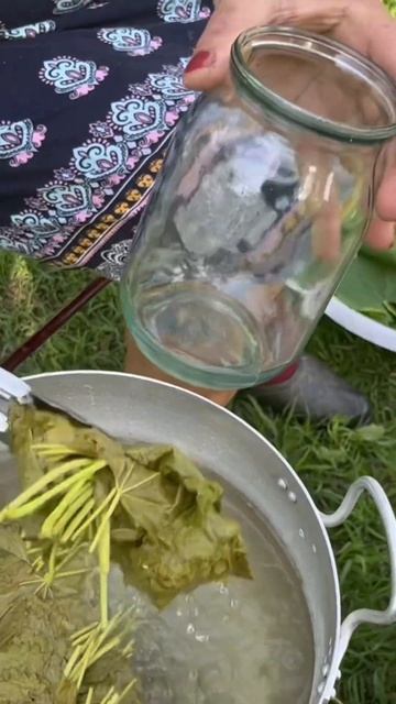 Part-2 HOW TO PRESERVE GRAPE LEAVES FOR DOLMA!? Azerbaijani national Food! #food #shorts #grape смотреть онлайн
