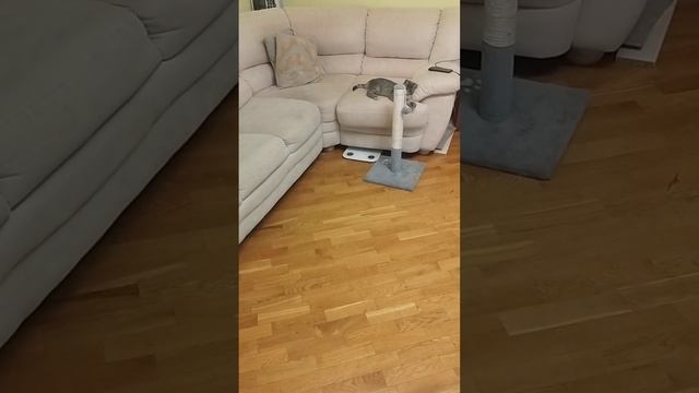 3 квітня 2023 р. смотреть онлайн