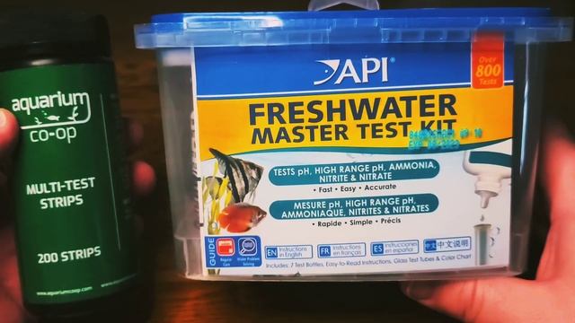 Aquarium Co-Op Test Strips! смотреть онлайн