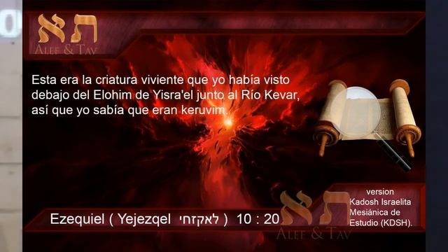 LOS 4 SERES VIVIENTES ALEF Y TAV смотреть онлайн