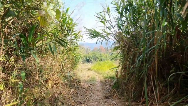 qub zos pham haim 9/2/2021 смотреть онлайн