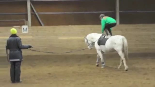 Voltige 2010 смотреть онлайн