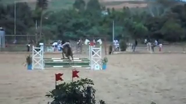 Ana Beatriz e Radar смотреть онлайн