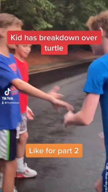 Kid has nervous breakdown over a turtle and this happened… смотреть онлайн