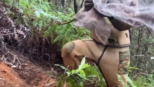 YELLOW JACKETS GROUND NEST REMOVAL,VESPA MANDARINIA,GIANT MURDER HORNET,WASP GROUND BEE NEST смотреть онлайн