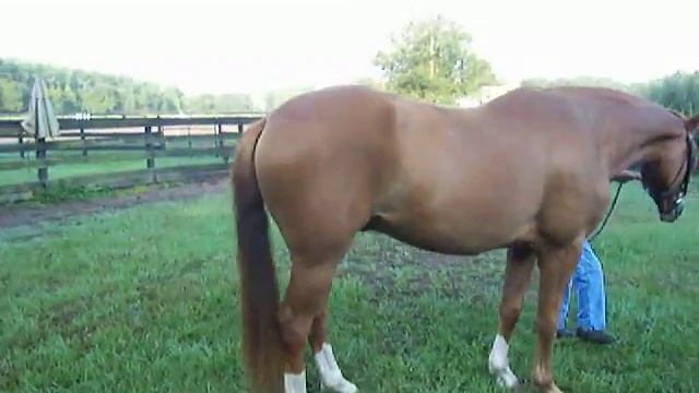 Weltmeister W смотреть онлайн