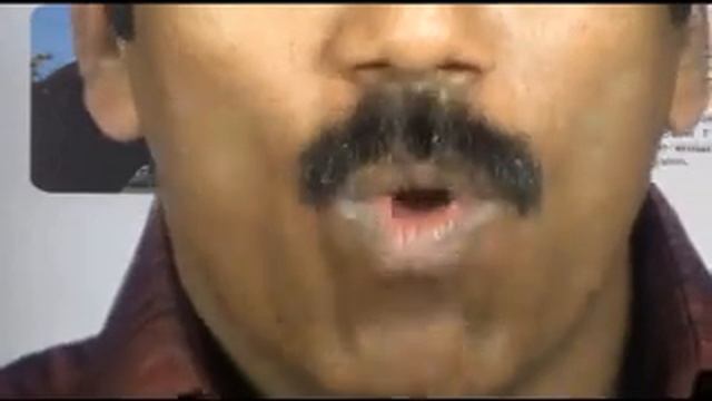 dhamu's BASIC LEVEL 1 mimicry demo смотреть онлайн