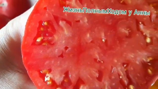 Огородный сезон 2024_24Серия