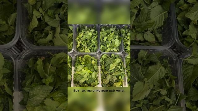 Romantic Recipe Adventures