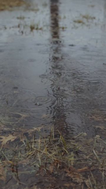 В Украине 