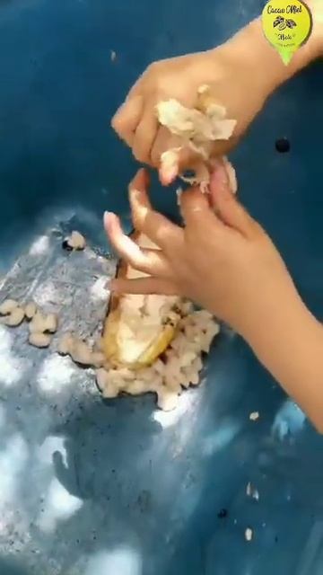 cacao miel смотреть онлайн