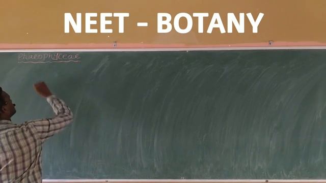Chapter - 3. Plant Kingdom. Part - 4. смотреть онлайн