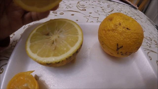 Yuzu, Dunstan And Nasnaran Citrus Fruits