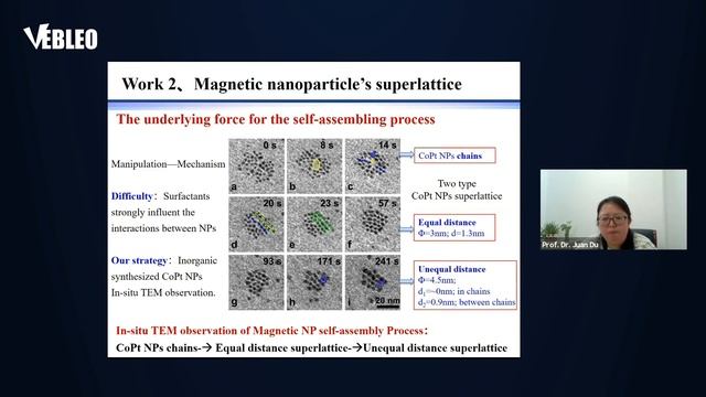 Shanghai University | Prof. Dr. Juan Du | China | Lecture | #Vebleo смотреть онлайн