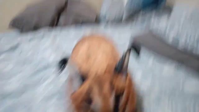 ультра мега жоски шлепанец от @bloptop смотреть онлайн