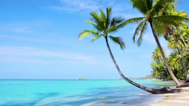 Дуа-Альхамдулилляхи Маликуль Мульк (Хвала Аллаху, Царю Царей)