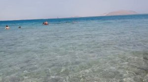 Новый день / Лена LIFE / Странненькая Оксана и бедный Юра! / Обзор влогов