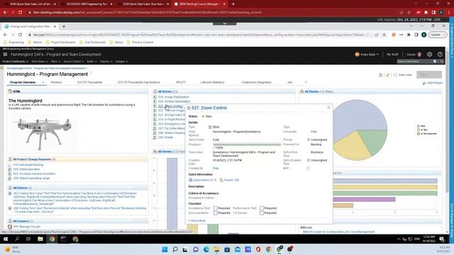 IBM DOORS Next Generation Tutorial: Rich Hover смотреть онлайн